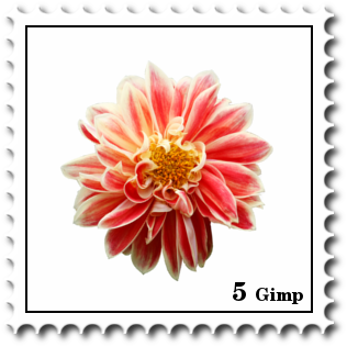 Bild Briefmarke
